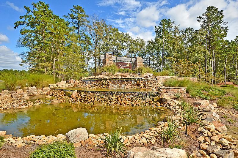 9947 Winged Elm Street Photo 54