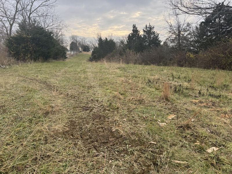 27.63 Kentucky Hwy 467, Demossville, KY 41033 Photo 3