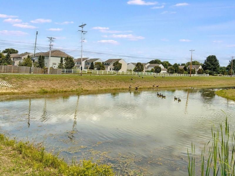 5742 Orchard Lakes Trail Drive, Canal Winchester, OH 43110 Photo 31