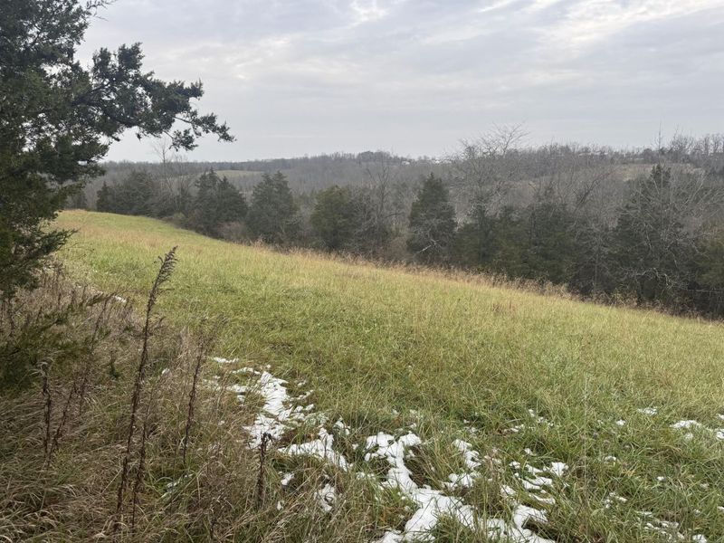 14 Acres Kelly Road, Demossville, KY 41033 Photo 2