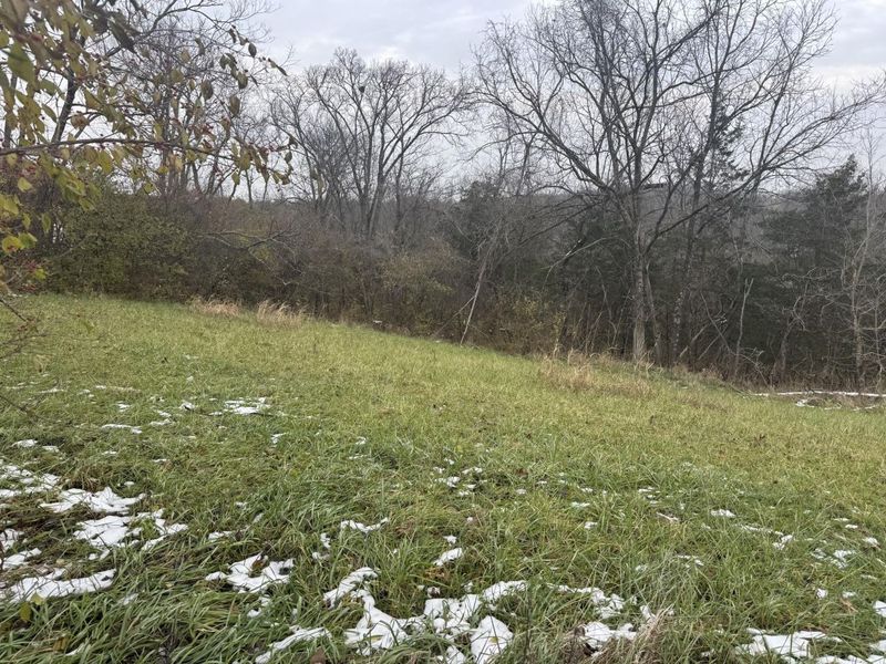 14 Acres Kelly Road, Demossville, KY 41033 Photo 3