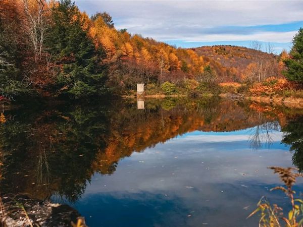 Big Hollow Road, Deposit, NY 13754