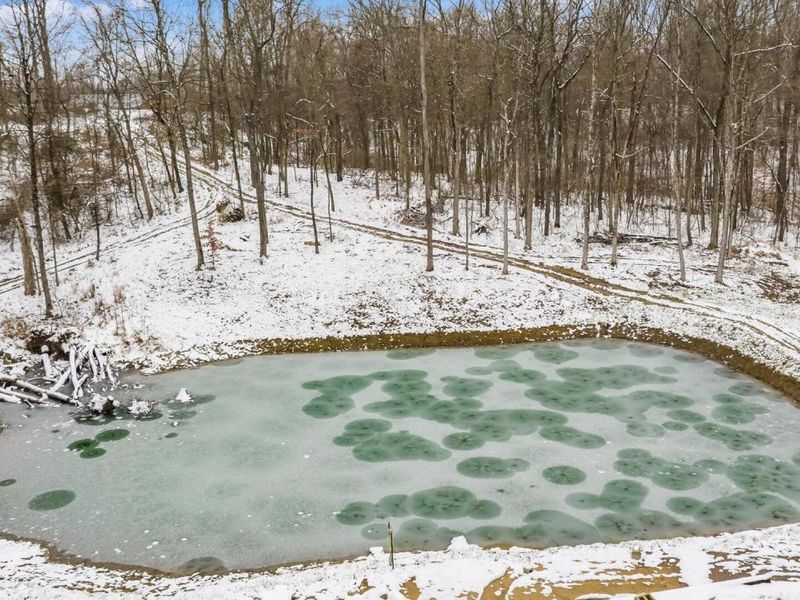 9141 Wesley Chapel Road, Mount Perry, OH 43760 Photo 20