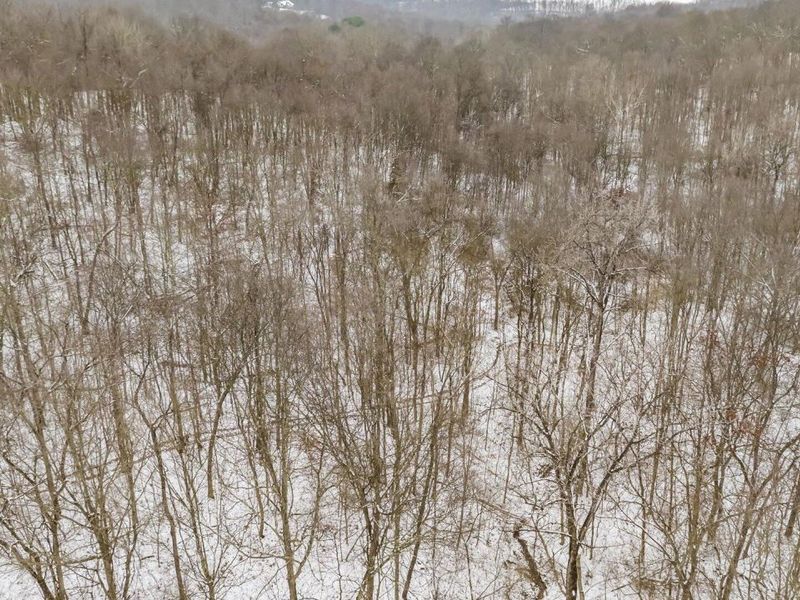 9141 Wesley Chapel Road, Mount Perry, OH 43760 Photo 22