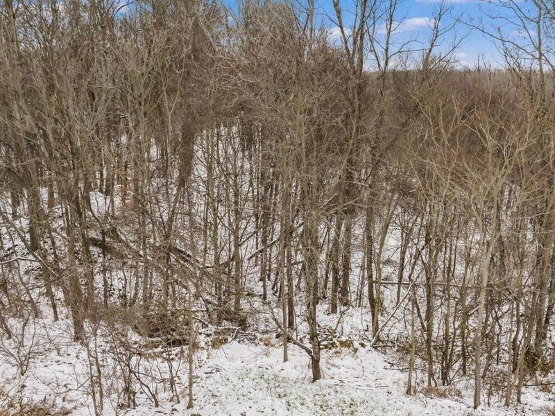 9141 Wesley Chapel Road, Mount Perry, OH 43760 Photo 28