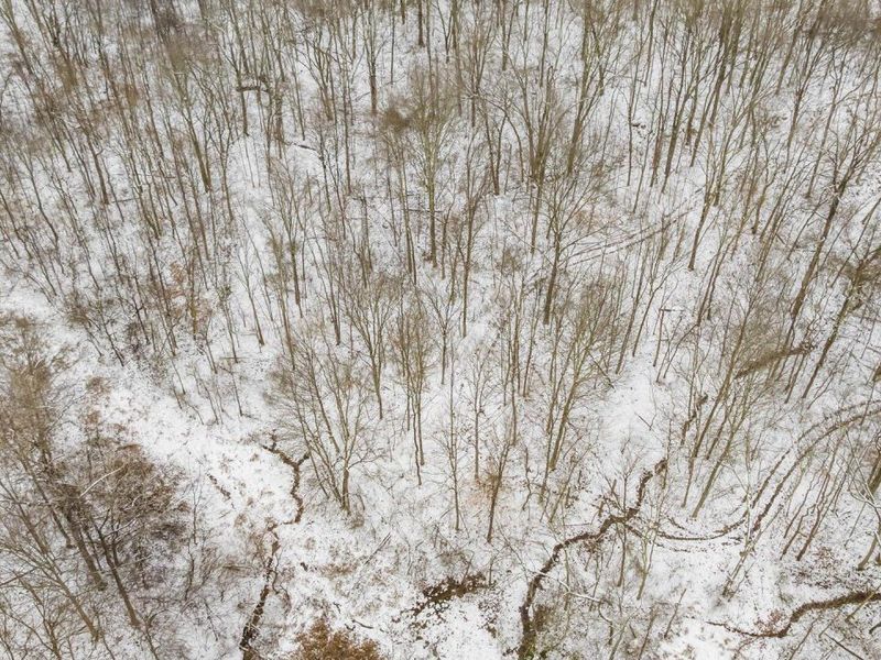 9141 Wesley Chapel Road, Mount Perry, OH 43760 Photo 31