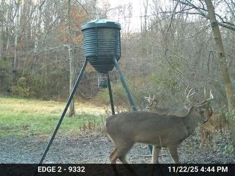 9141 Wesley Chapel Road, Mount Perry, OH 43760 Photo 33