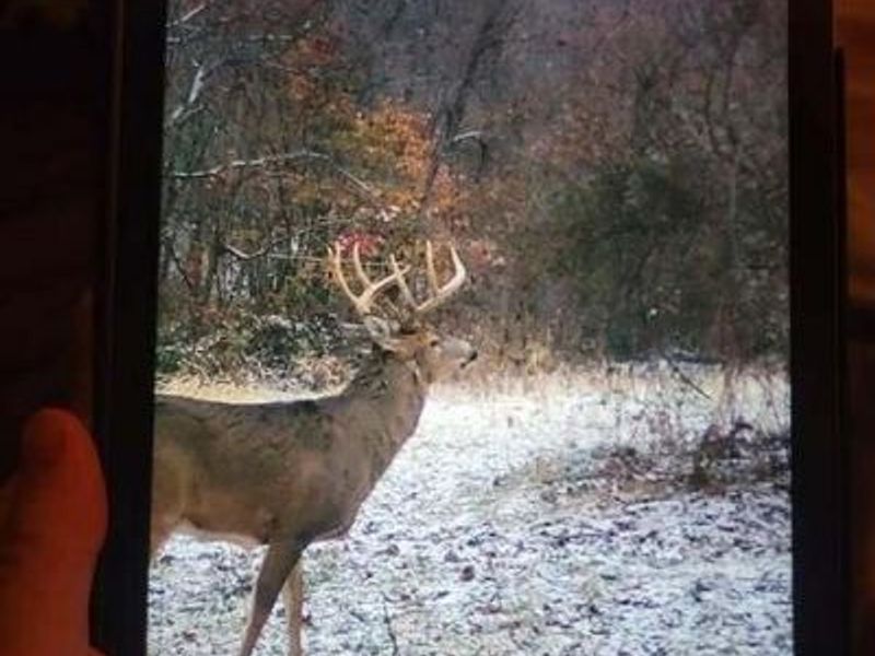 9141 Wesley Chapel Road, Mount Perry, OH 43760 Photo 36