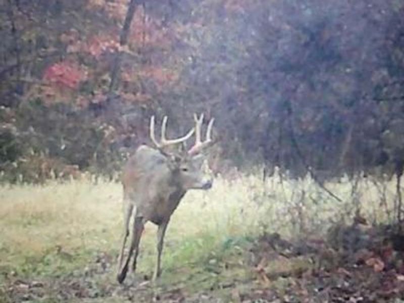 9141 Wesley Chapel Road, Mount Perry, OH 43760 Photo 6