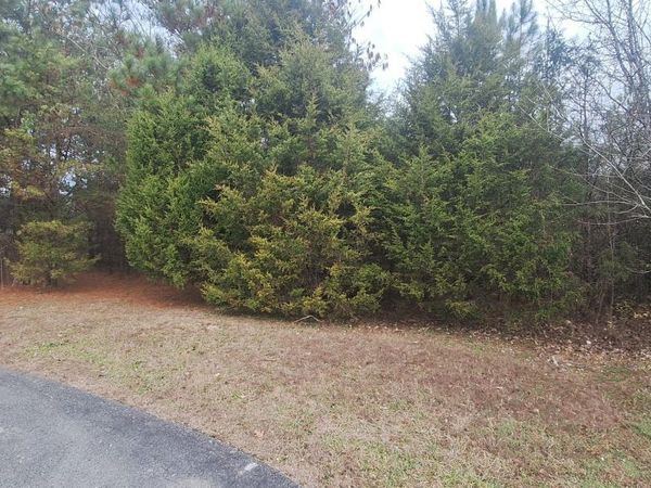 Raintree Lane, Kingston, TN 37763