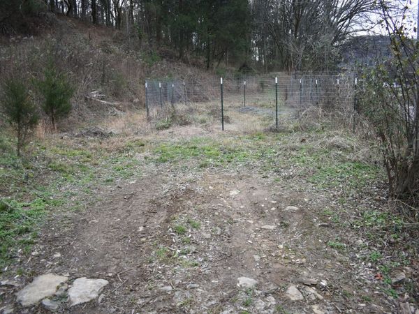 256 Maggart Rd, Elmwood, TN 38560