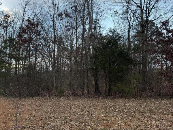 00 County Road 517, Englewood, TN 37329