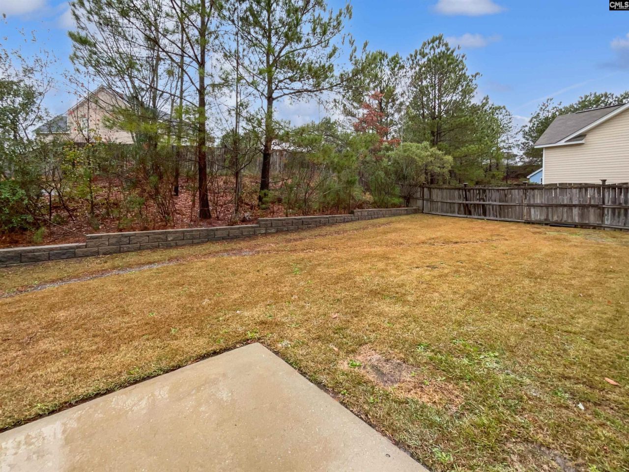 140 Longtown Place Drive Photo 25