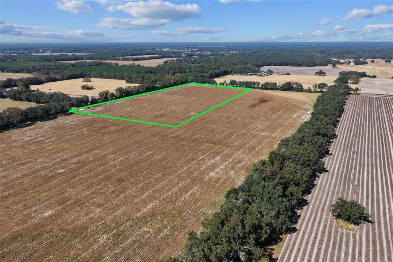 Ne 150 Street, Trenton, FL 32693 Photo