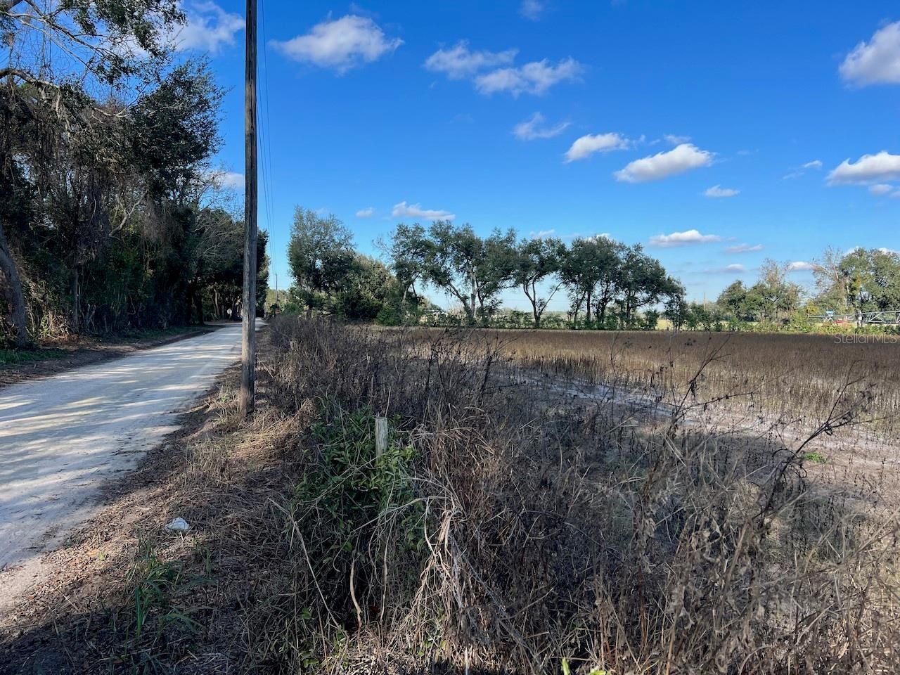 Ne 150 Street, Trenton, FL 32693 Photo