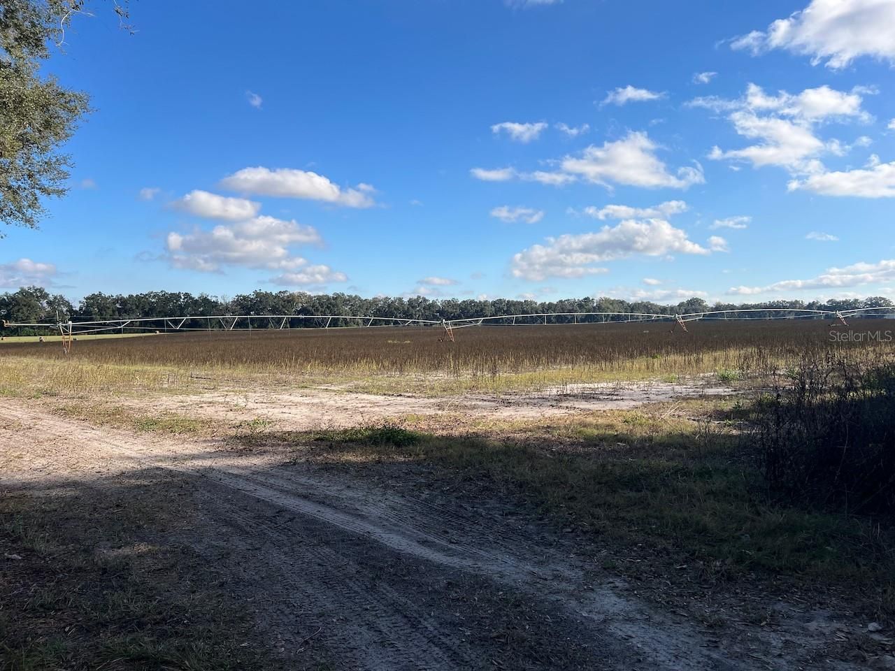 Ne 150 Street, Trenton, FL 32693 Photo