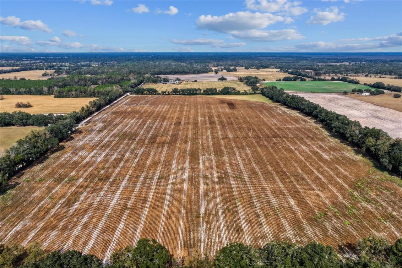 Ne 150 Street, Trenton, FL 32693 Photo