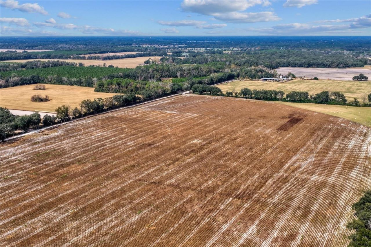 Ne 150 Street, Trenton, FL 32693 Photo