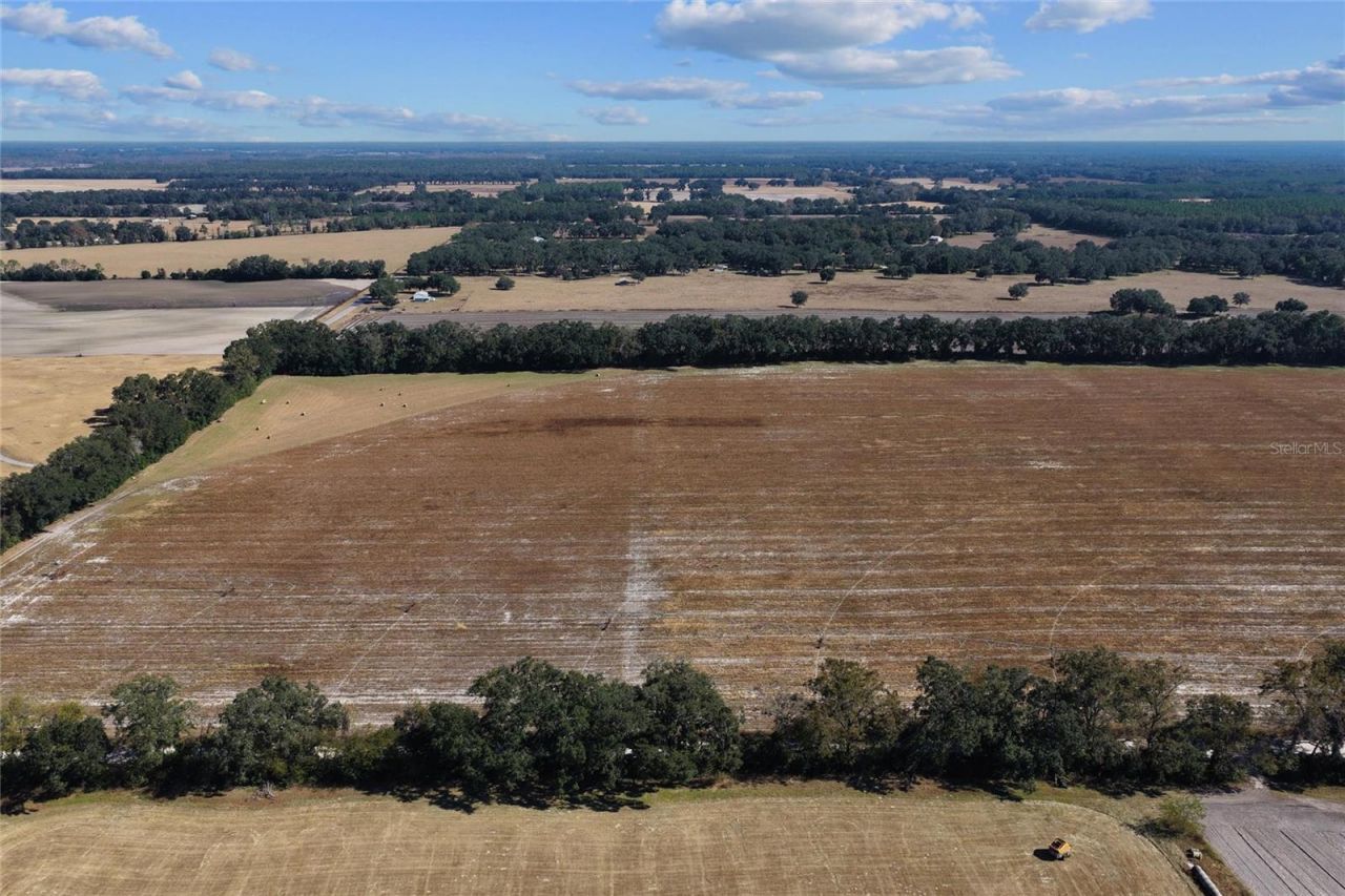 Ne 150 Street, Trenton, FL 32693 Photo