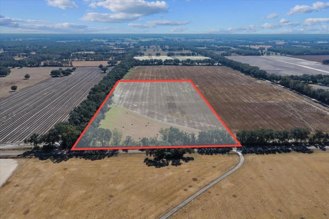 Tbd NE 150 Street, Trenton, FL 32693 Photo