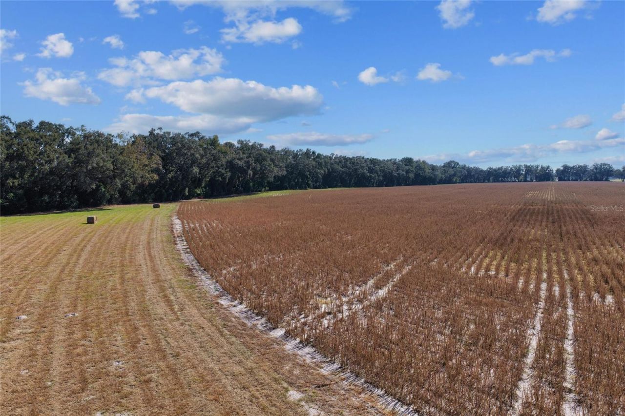 Tbd NE 150 Street, Trenton, FL 32693 Photo