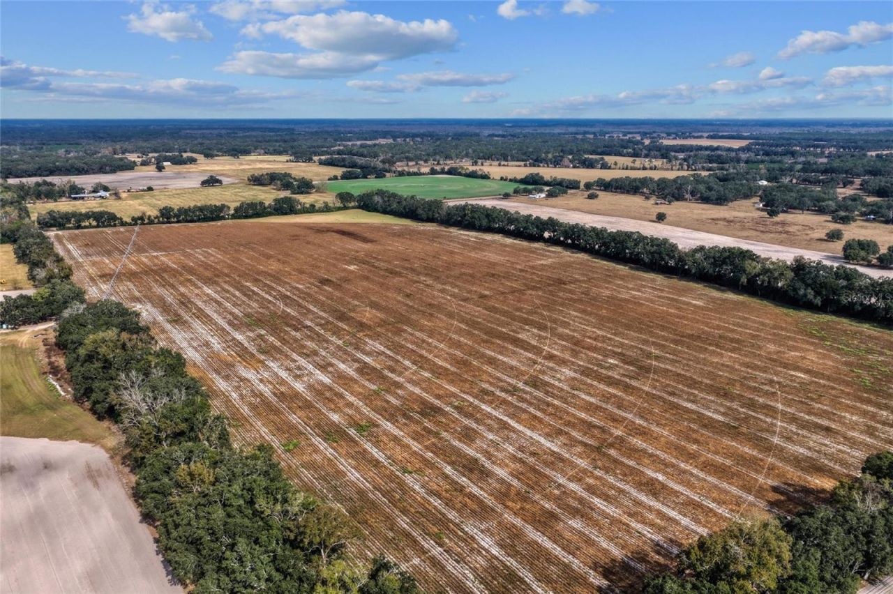 Tbd NE 150 Street, Trenton, FL 32693 Photo