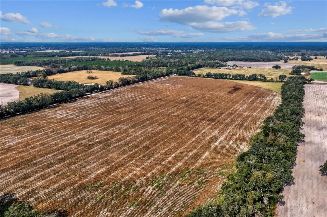 Tbd NE 150 Street, Trenton, FL 32693 Photo