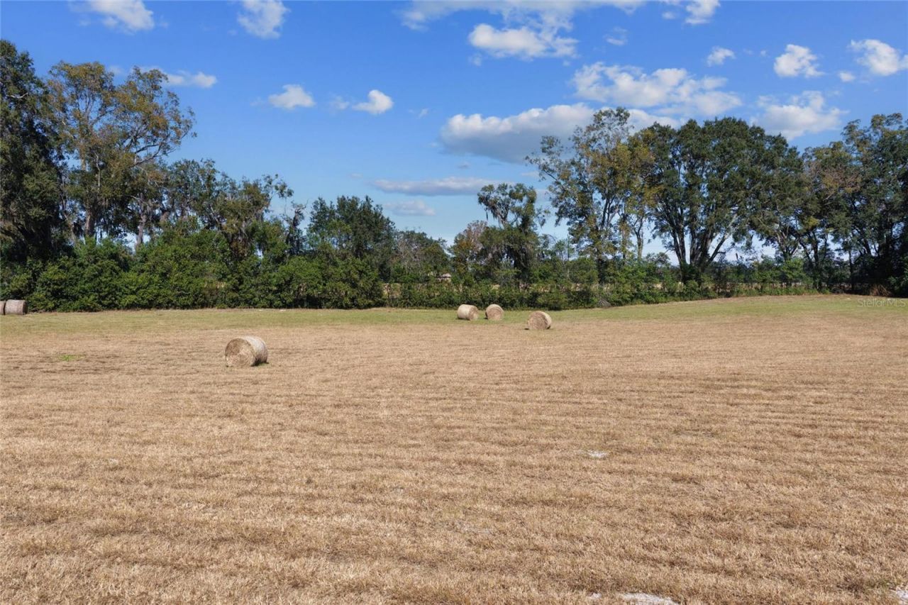 Tbd NE 150 Street, Trenton, FL 32693 Photo