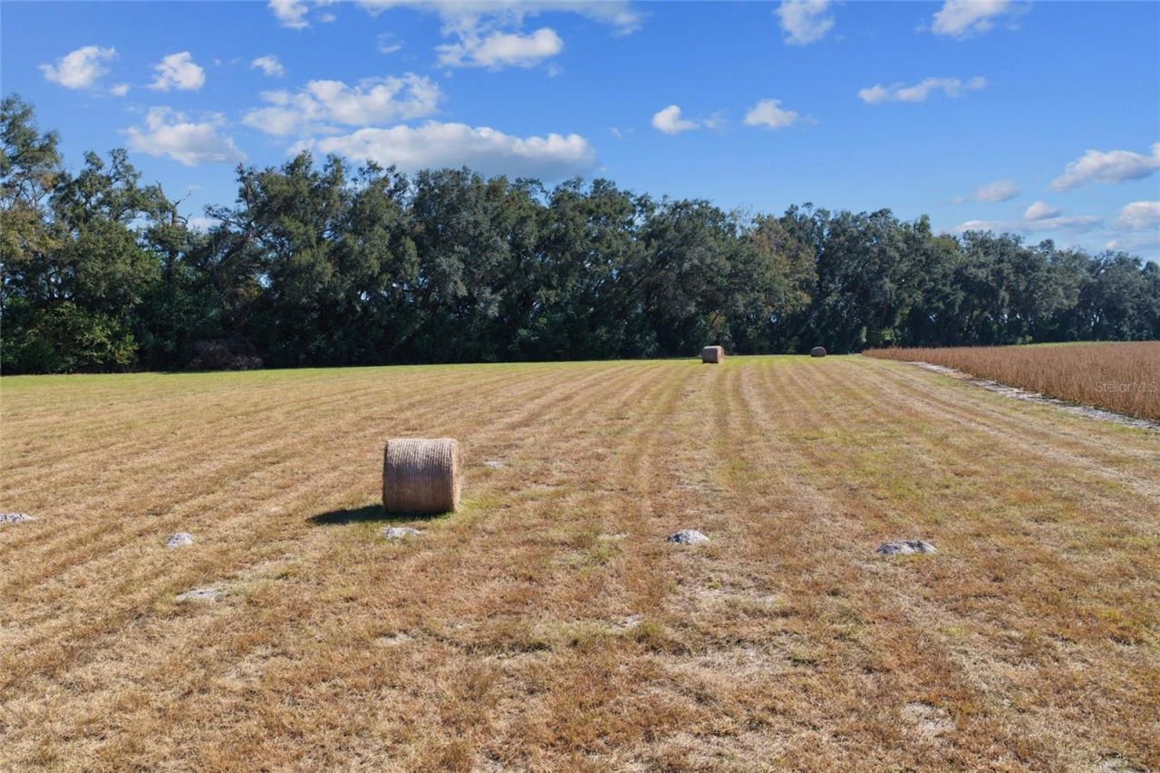 Tbd NE 150 Street, Trenton, FL 32693 Photo