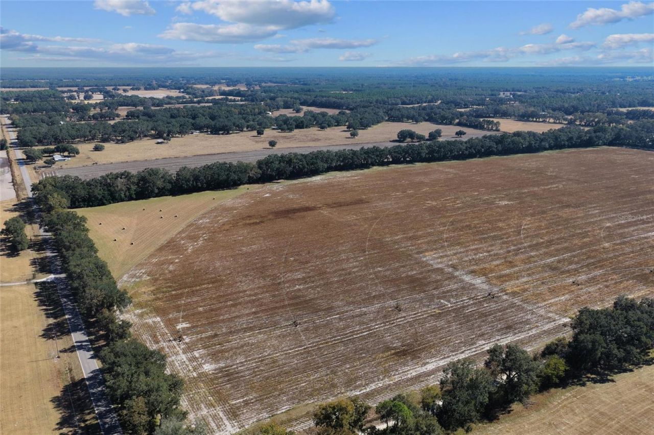 Tbd NE 150 Street, Trenton, FL 32693 Photo