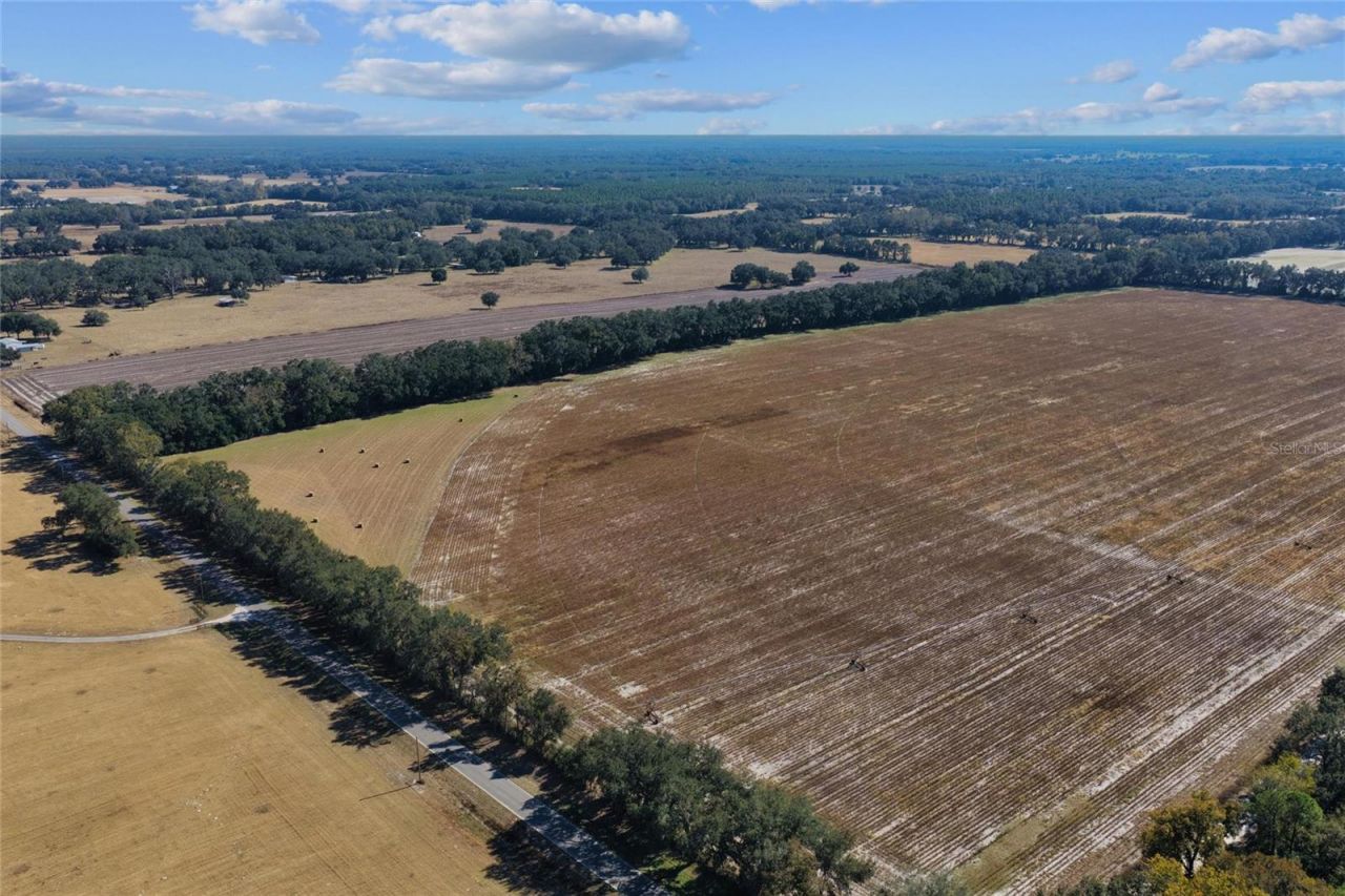 Tbd NE 150 Street, Trenton, FL 32693 Photo