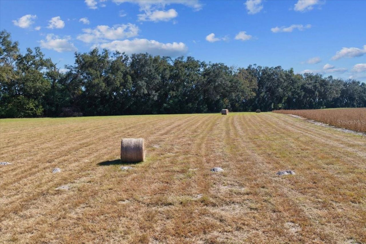 Tbd NE 150 Street, Trenton, FL 32693 Photo