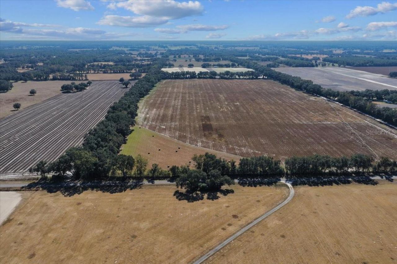 Tbd NE 150 Street, Trenton, FL 32693 Photo