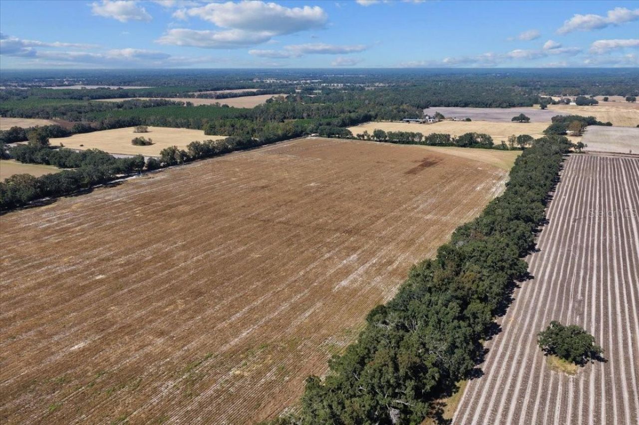 Tbd NE 150 Street, Trenton, FL 32693 Photo