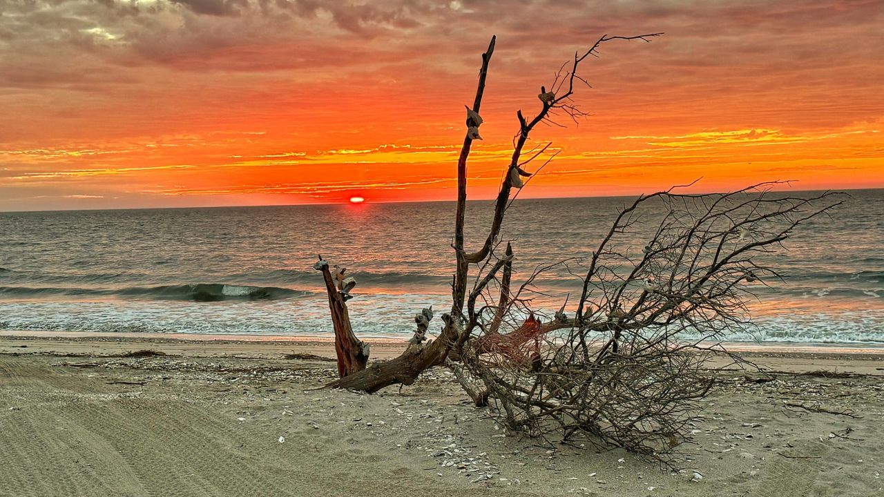 19 Lost Village Trail Photo 71