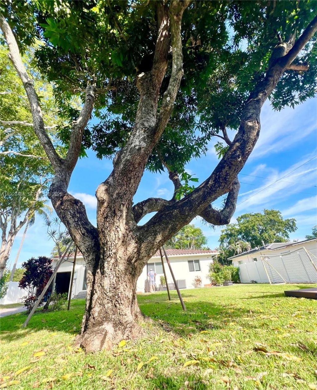 2 NE 108th St, Unit -, Miami Shores, FL 33161 Photo