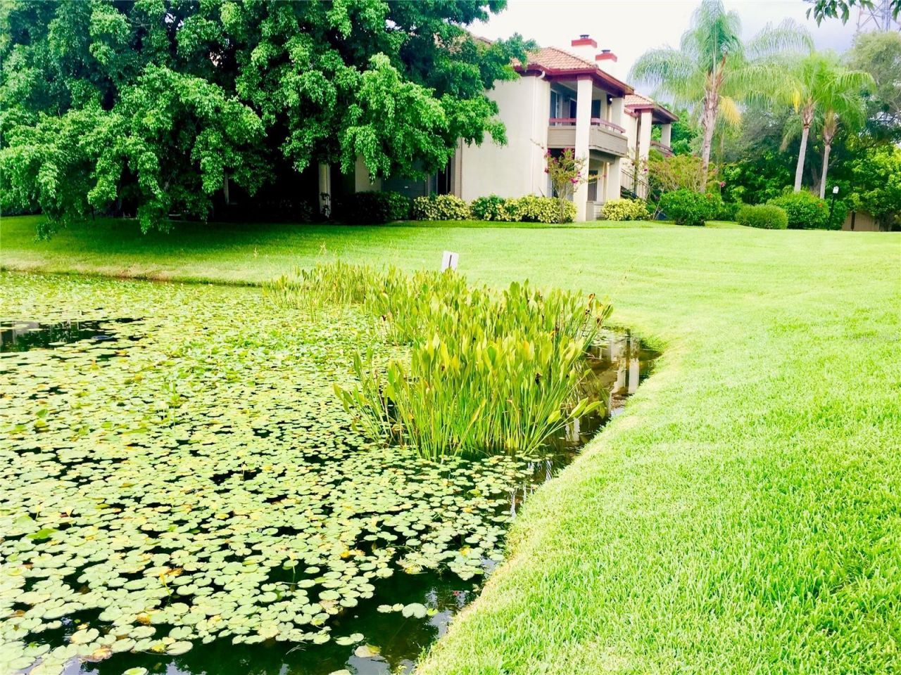 10263 Gandy Boulevard N, Unit 513, Saint Petersburg, FL 33702 Photo