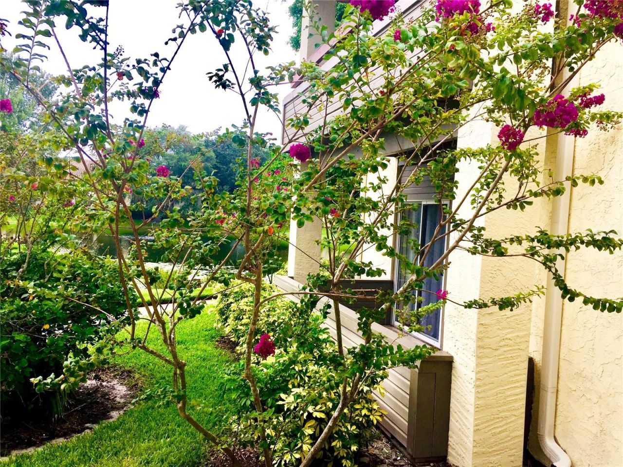 10263 Gandy Boulevard N, Unit 513, Saint Petersburg, FL 33702 Photo