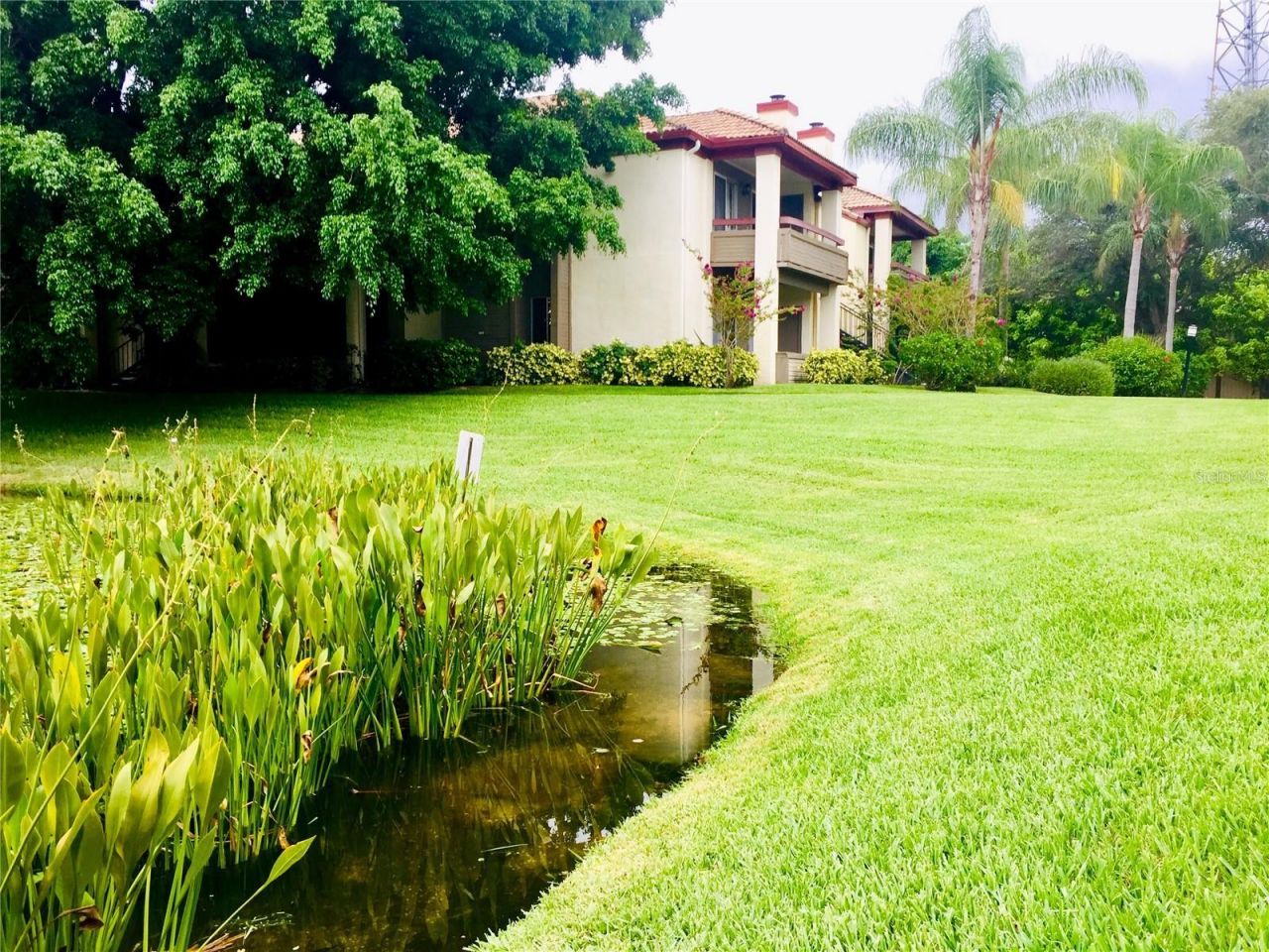 10263 Gandy Boulevard N, Unit 513, Saint Petersburg, FL 33702 Photo