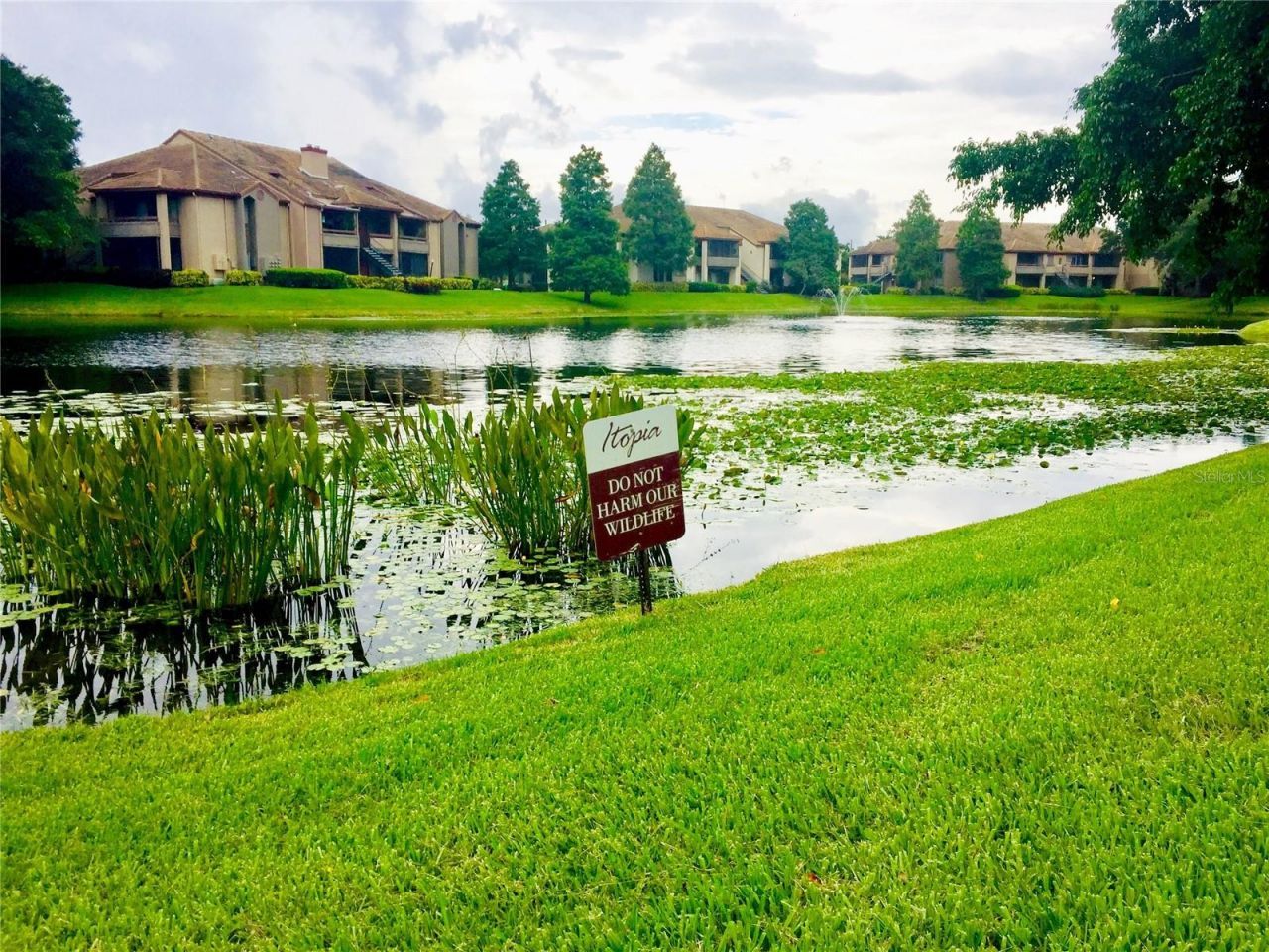 10263 Gandy Boulevard N, Unit 513, Saint Petersburg, FL 33702 Photo