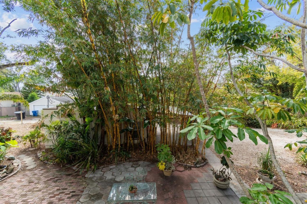 4326 3rd Avenue S, Saint Petersburg, FL 33711 Photo