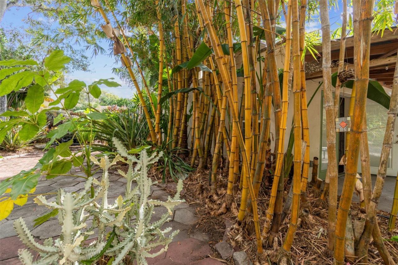 4326 3rd Avenue S, Saint Petersburg, FL 33711 Photo