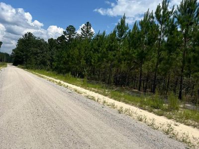 BFF 1A JC Barefoot Road , Unit BFF 1A, Patrick, SC 29584