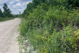 Bff 1a Jc Barefoot Road  photo 4