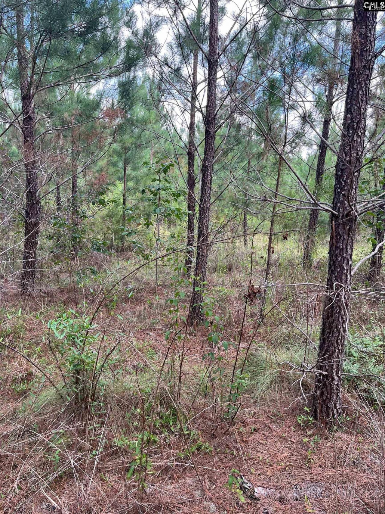 Bff 1a Jc Barefoot Road  Photo 4