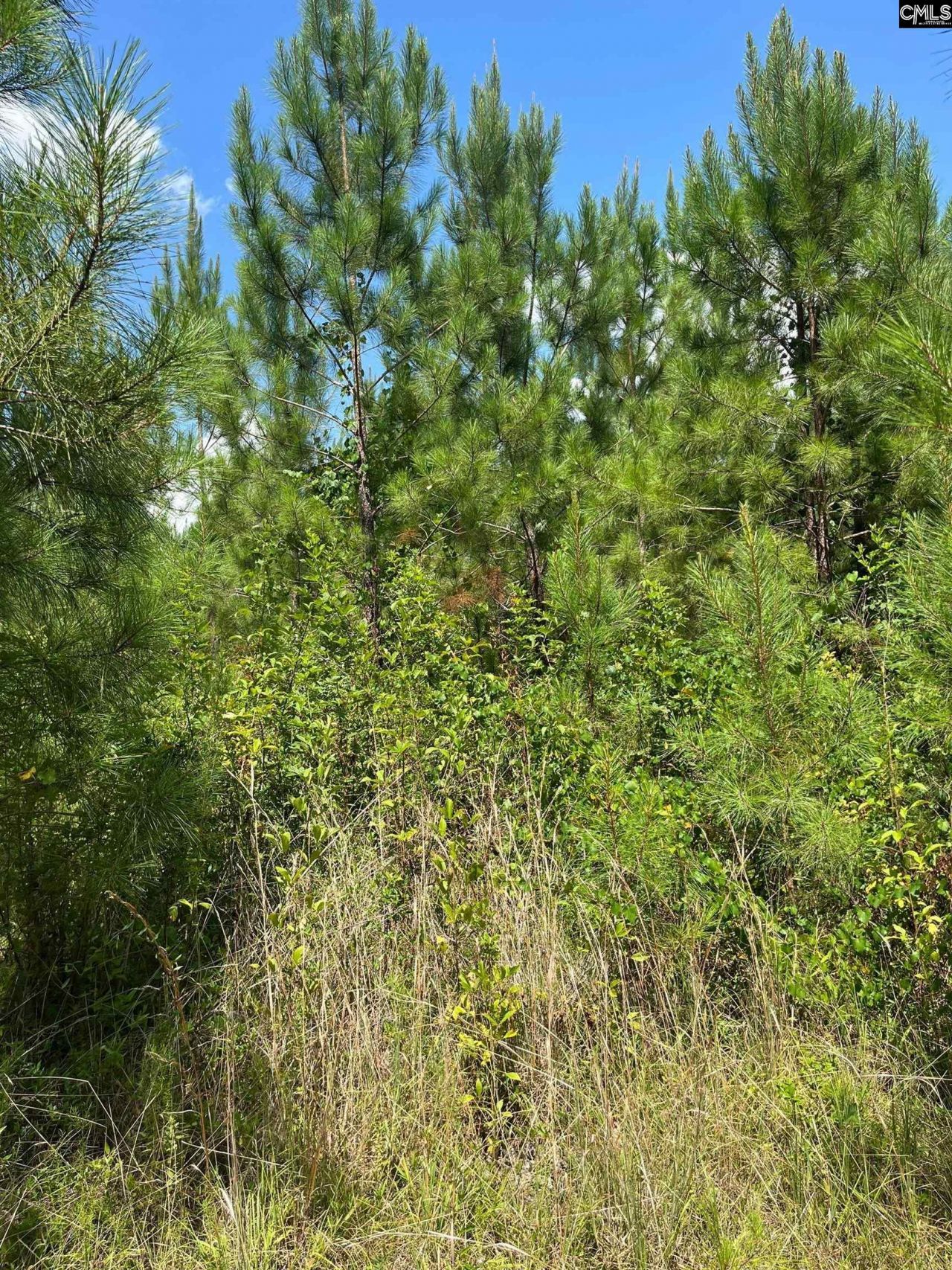 Bff 1a Jc Barefoot Road  Photo 6