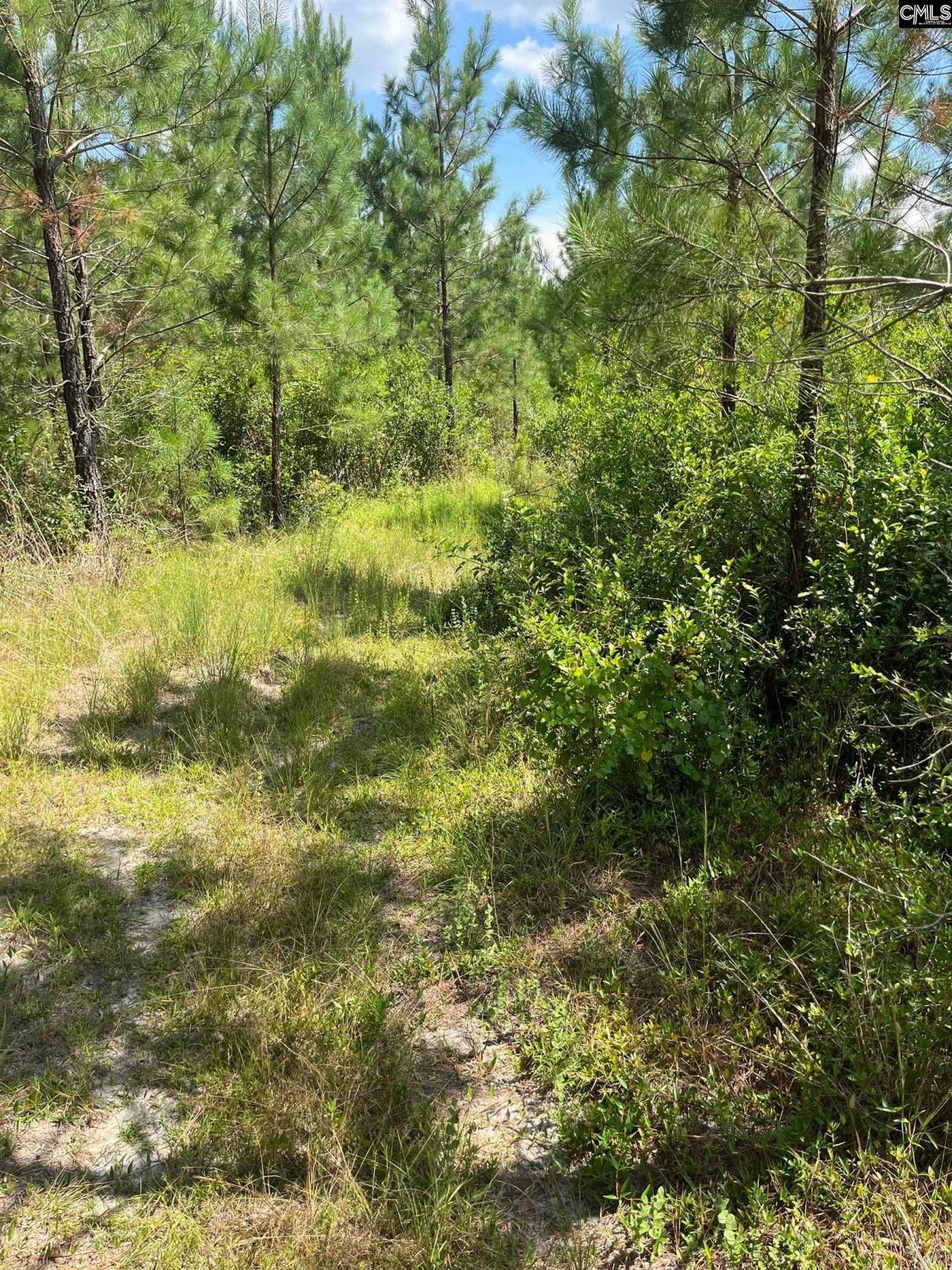 Bff 1a Jc Barefoot Road  Photo 7