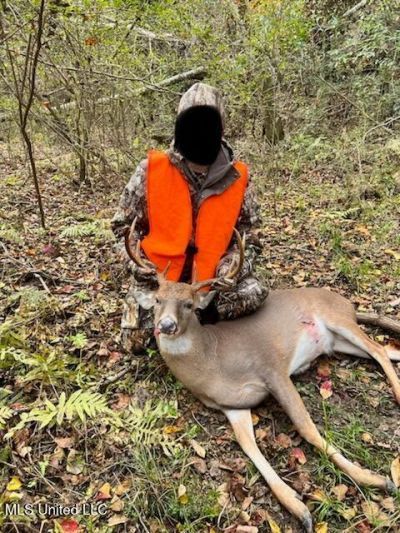 3032 Osyka Progress Road, Osyka, MS 39657 Main Photo