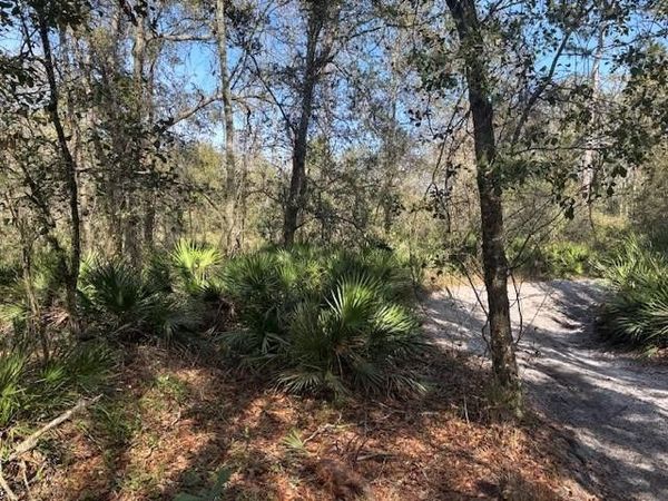 0 County Rd 54, Kathleen, FL 33849