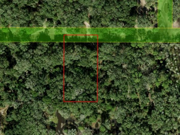 0 County RD 54 E, Kathleen, FL 33849